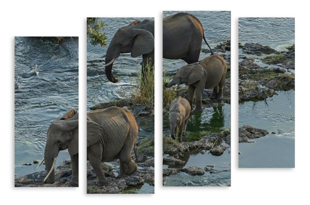 Модульная картина 3637 "Слоны на водопое" фото 1