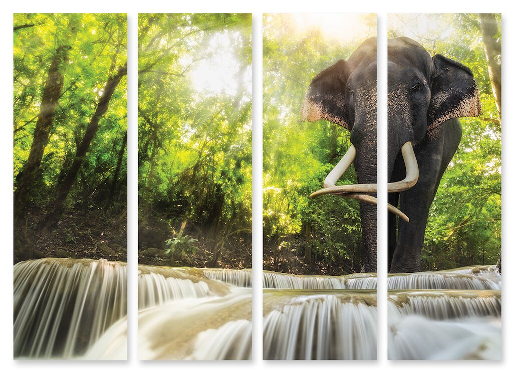 Модульная картина 214 "Слон в джунглях" фото 1
