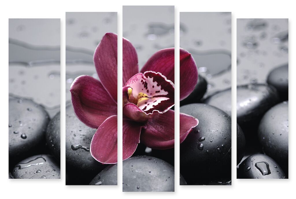 Модульная картина 54 "Бордовая орхидея" фото 1