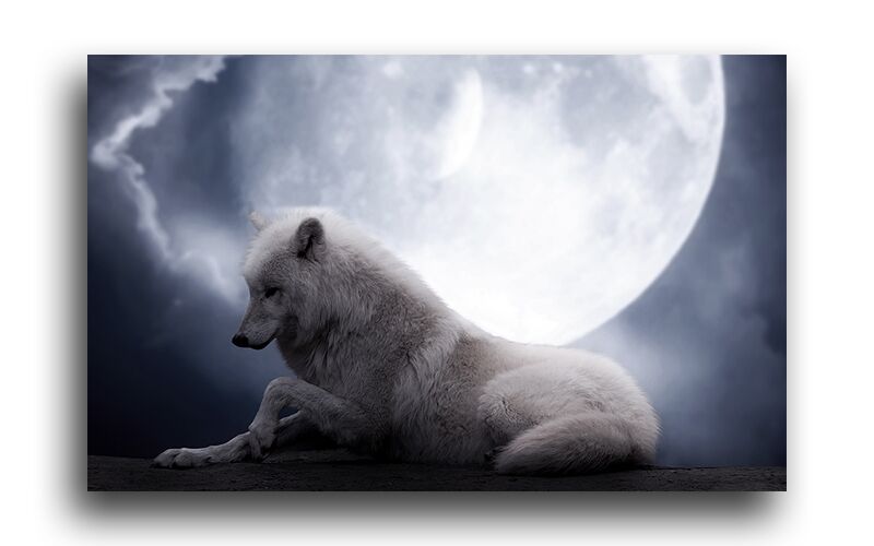 Постер 1836 "Одинокий волк" фото 1