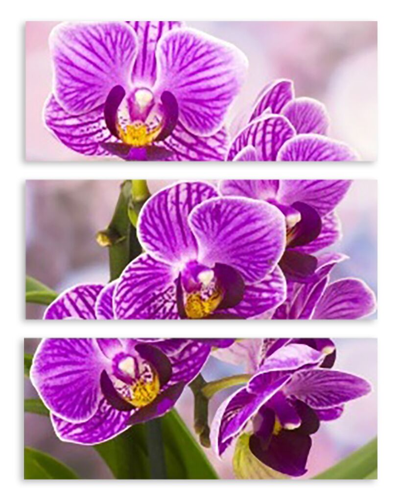 Модульная картина 3487 "Фиолетовые орхидеи" фото 1