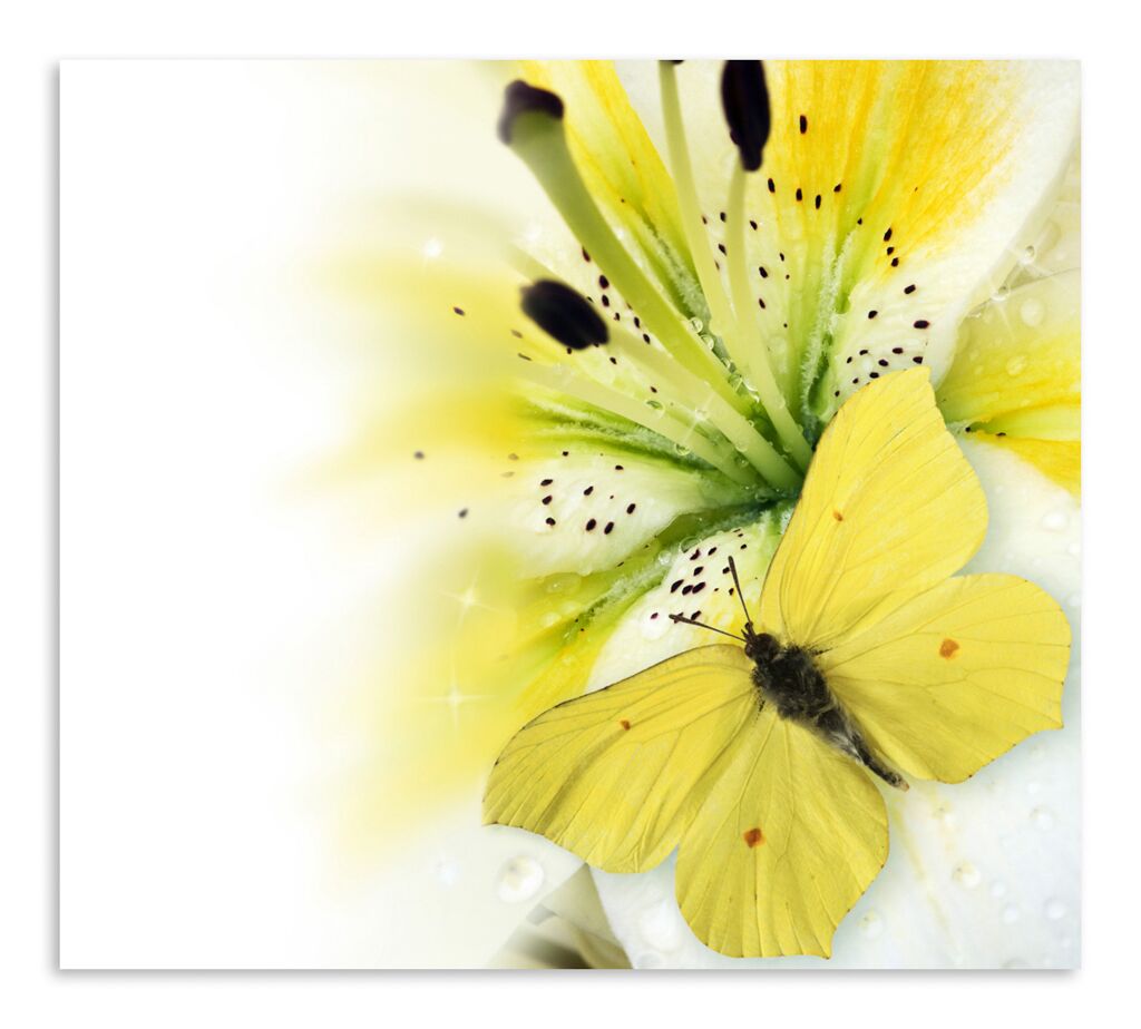 Постер 3683 "Бабочка на лилии" фото 1