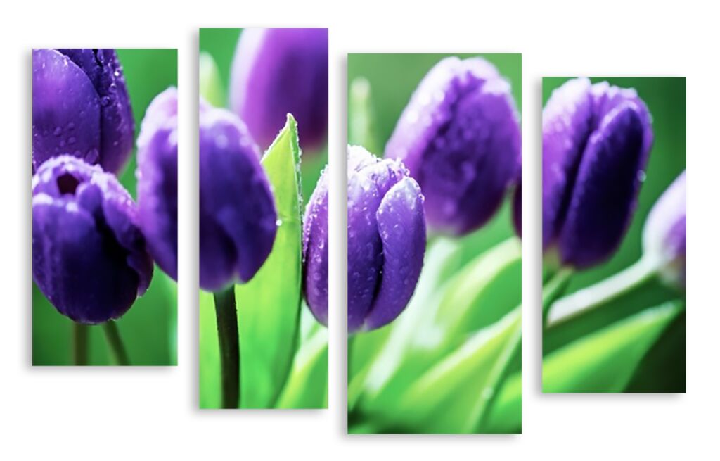 Модульная картина 2923 "Фиолетовые тюльпаны" фото 1