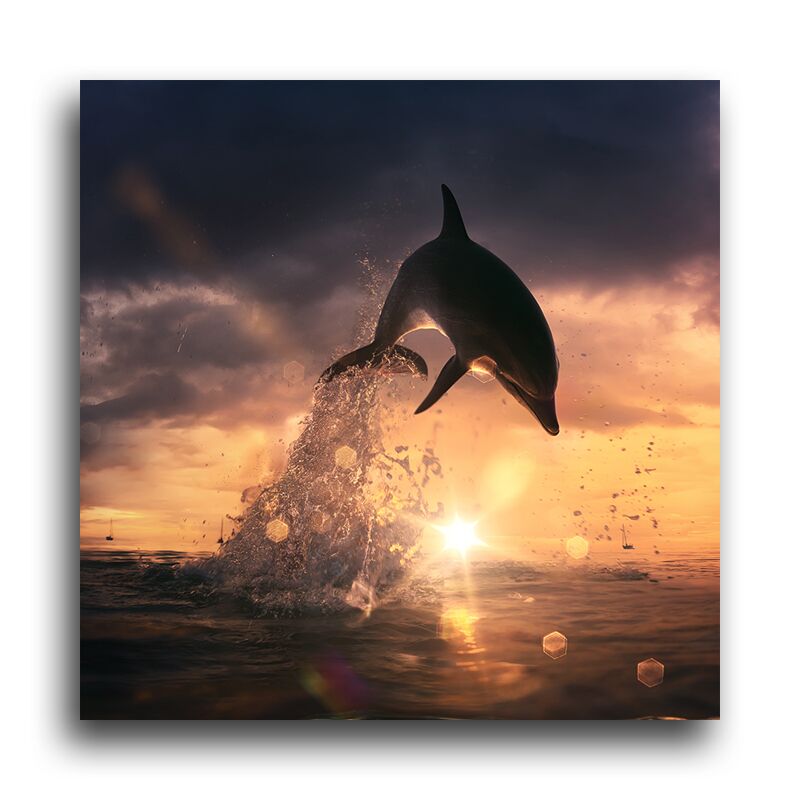 Постер 278 "Дельфин" фото 1