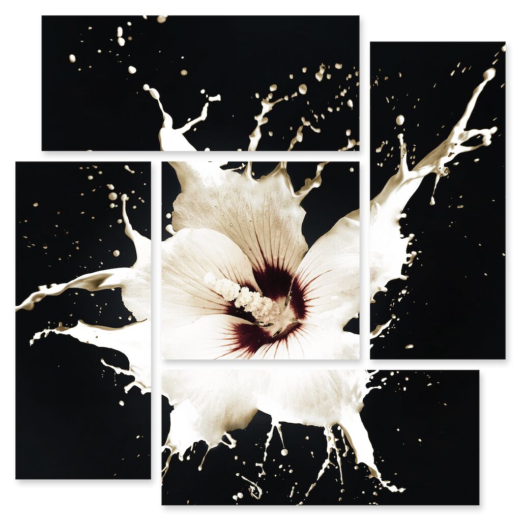 Модульная картина 168 "Белый цветок" фото 1