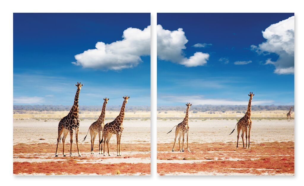 Модульная картина 89 "Жирафы" фото 1