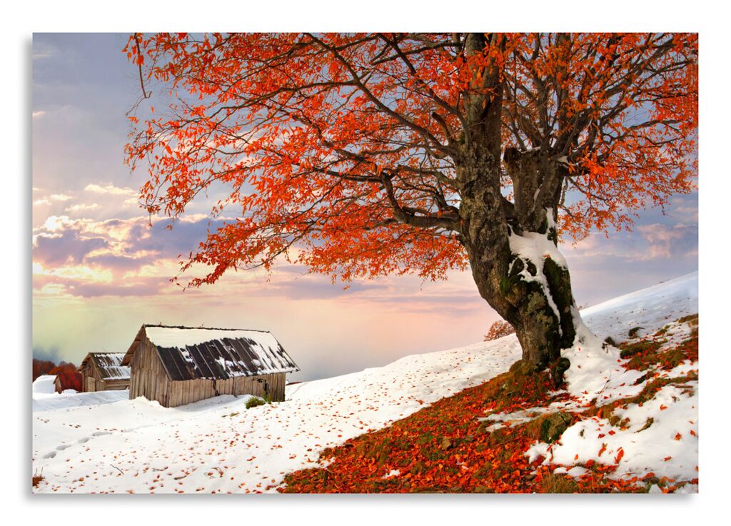 Постер 2927 "Осенняя зима" фото 1