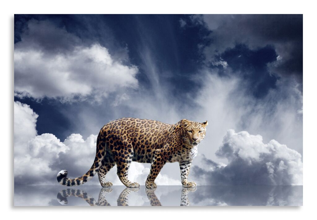 Постер 2933 "Леопард" фото 1