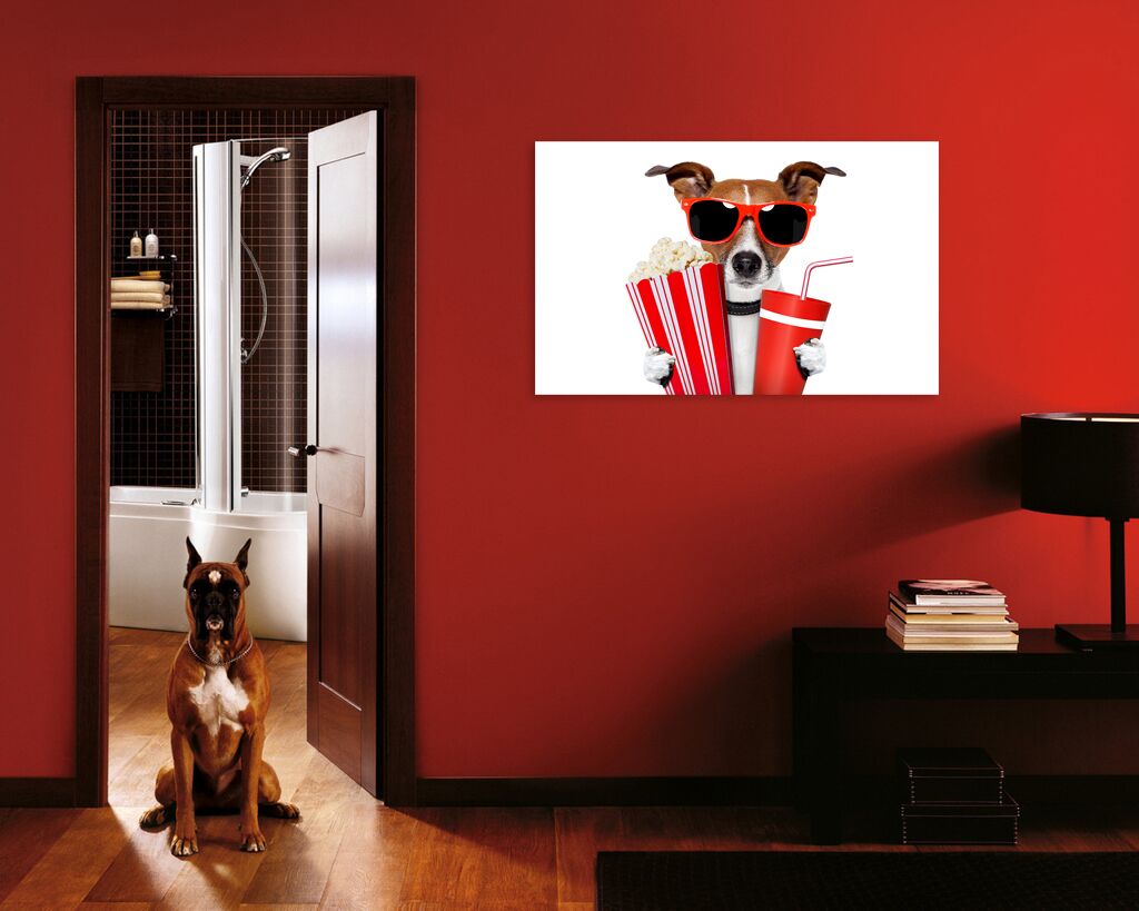 Постер 137 "Пес в кинотеатре" фото 3