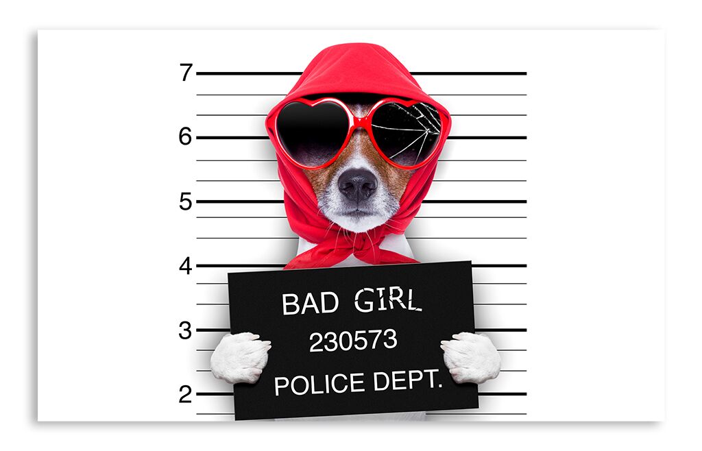 Постер 77 "Плохая собака" фото 1