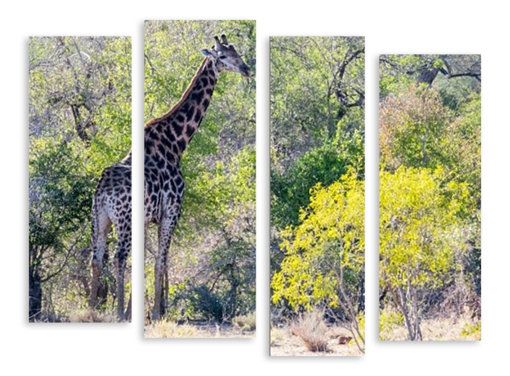 Модульная картина 3662 "Жираф" фото 1