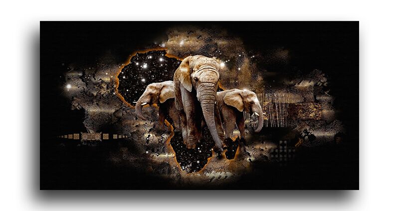 Постер 4956 "Слоны под звёздным небом" фото 1