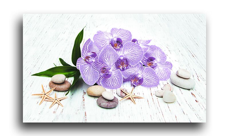 Постер 5566 "Нежная орхидея" фото 1