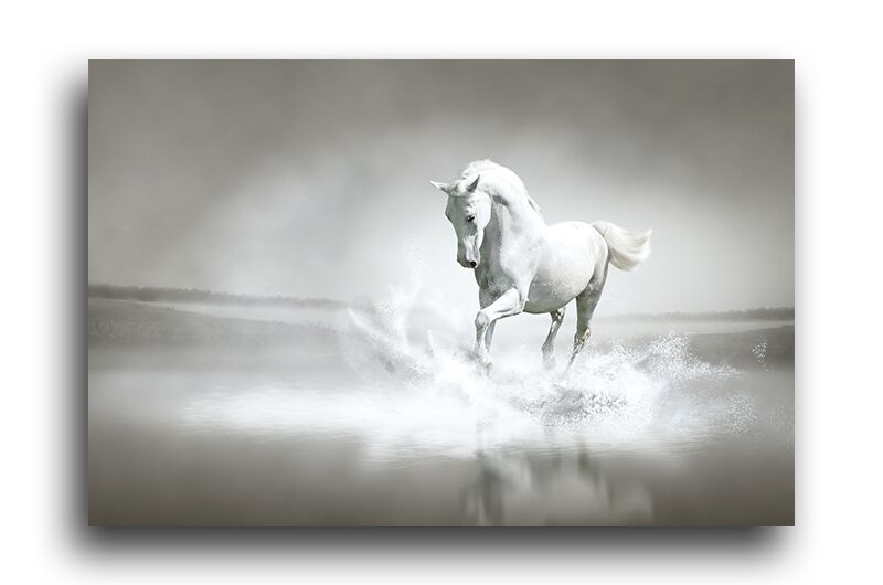 Постер 1160 "Волшебная лошадь" фото 1