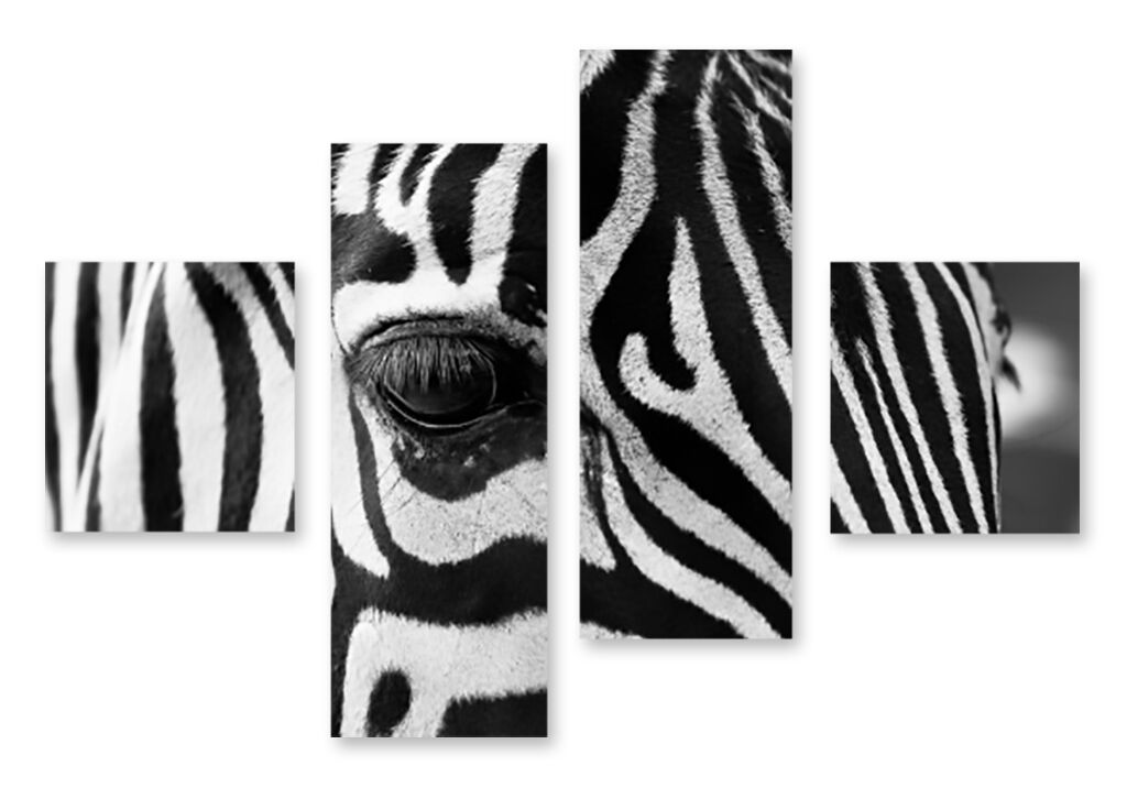 Модульная картина 1395 "Взгляд зебры" фото 1