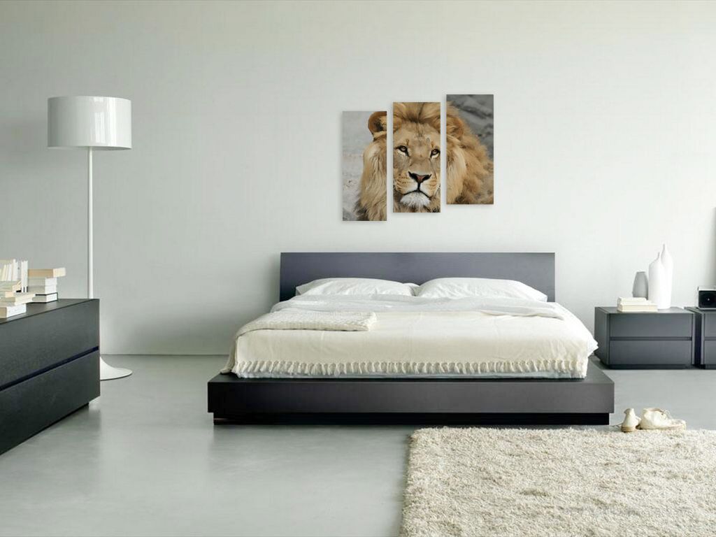 Модульная картина 1324 "Портрет льва" фото 4
