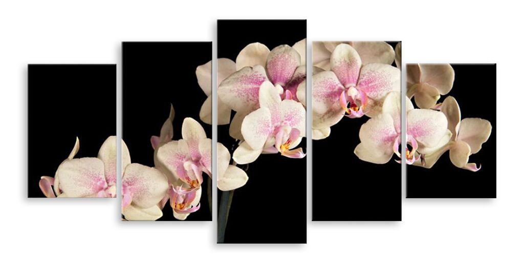 Модульная картина 5786 "Орхидеи" фото 1