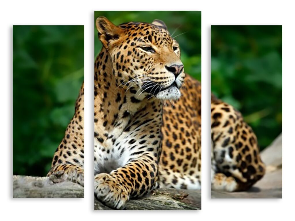 Модульная картина 2707 "Леопард" фото 1