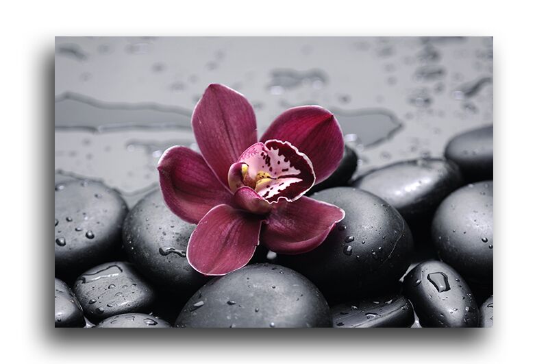 Постер 54 "Бордовая орхидея" фото 1