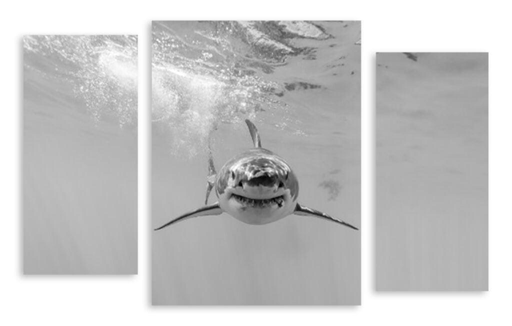 Модульная картина 3506 "Акула" фото 1