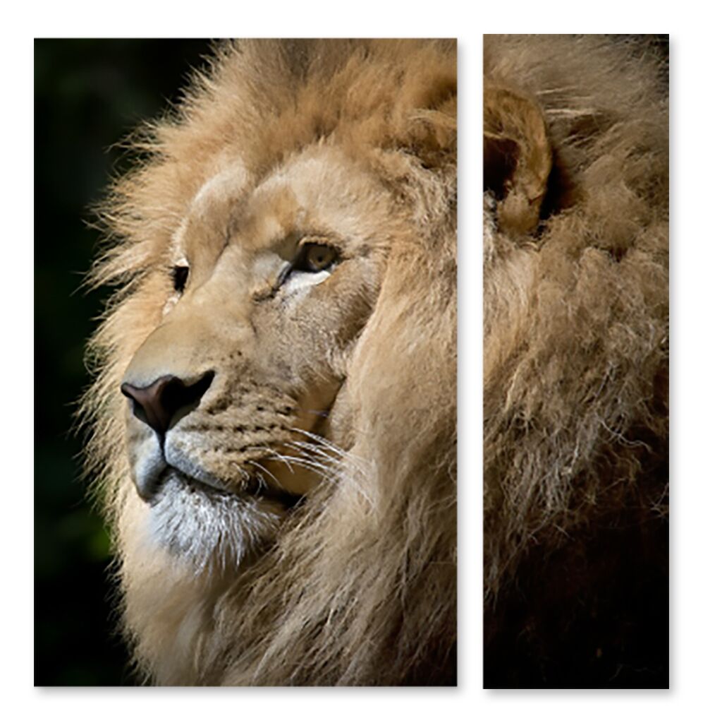 Модульная картина 1325 "Король лев" фото 1