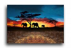Постер 4396 "Ночное путешествие слонов"