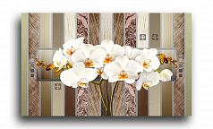 Постер 4917 "Белые орхидеи"